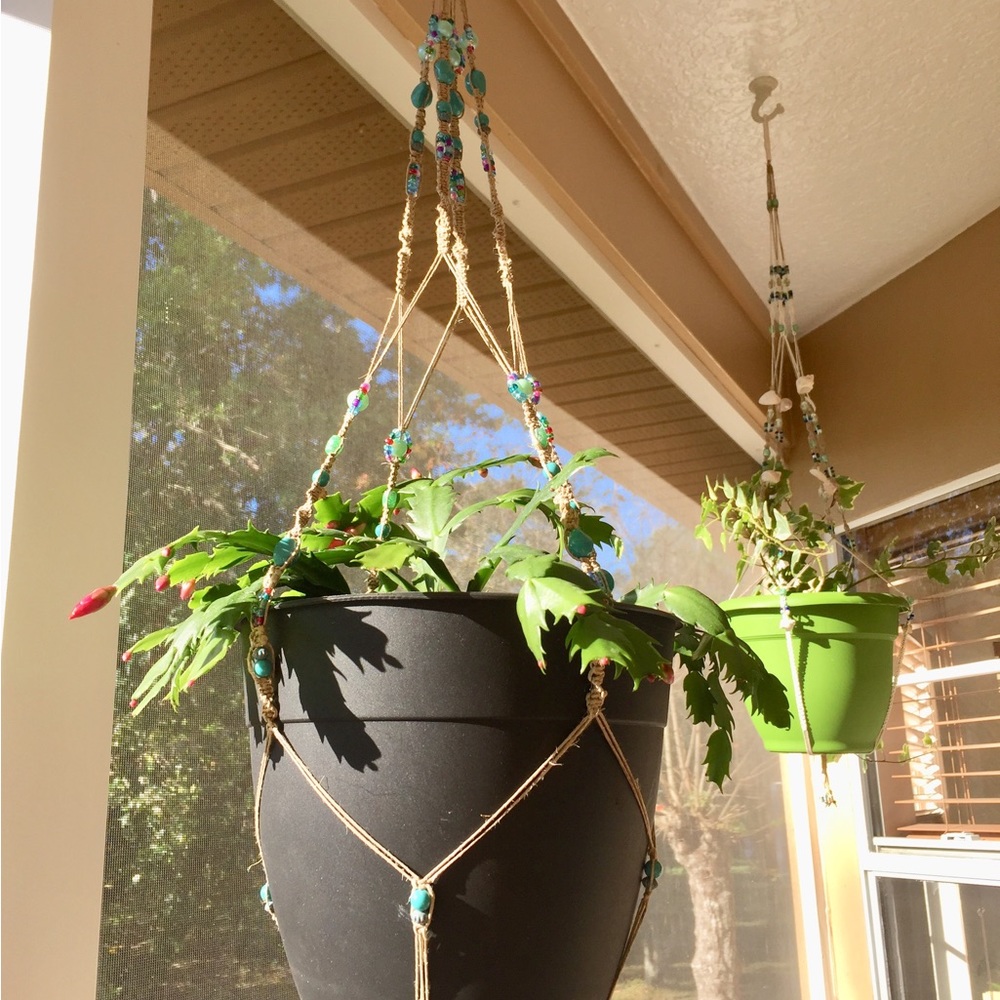Macrame Plant Hangers